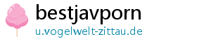 bestjavporn