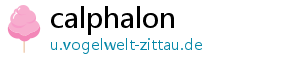 calphalon