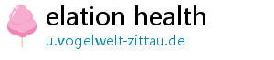 elation health