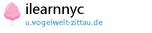 ilearnnyc