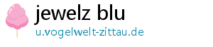 jewelz blu