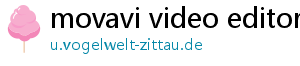 movavi video editor