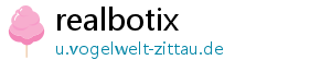 realbotix