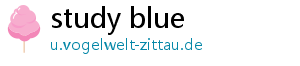 study blue