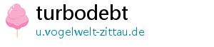 turbodebt