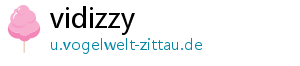 vidizzy